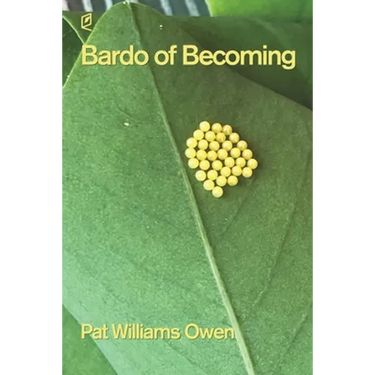 Bardo of Becoming