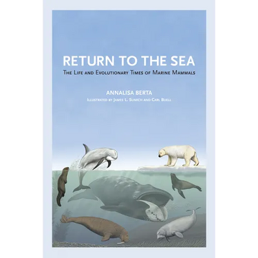 Return to the Sea: The Life and Evolutionary Times of Marine Mammals