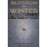 Blossom In Winter