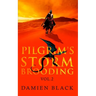 Pilgrim's Storm Brooding Volume 2: A Dark Fantasy Epic