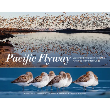 Pacific Flyway: Waterbird Migration from the Arctic to Tierra del Fuego