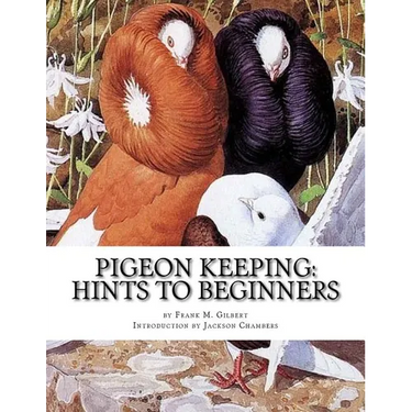 Pigeon Keeping: Hints To Beginners
