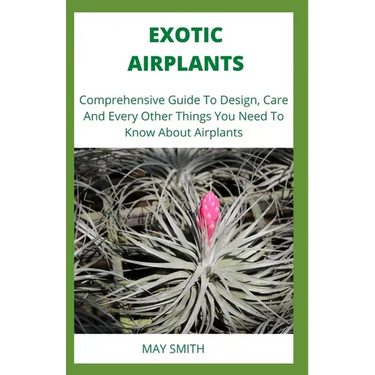Exotic Airplants: Comprehensive Guide To Design, Care And Every Other Things You Need To Know About Airplants