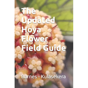 The Updated Hoya Flower Field Guide