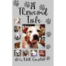 A Thousand Tails