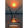 Zimbabwe: The End of the First Republic