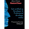 Blue Prism MasterClass: Developer & Professional Developer