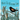 What the Blackbird Saw