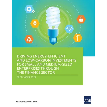 Driving Energy-Efficient and Low-Carbon Investments for Small and Medium-Sized Enterprises through the Finance Sector