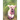 The Pink Poodle