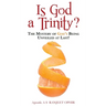 Is God a Trinity?: The Mystery of God's Being Unveiled at Last!