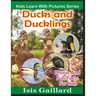 Ducks and Ducklings: Photos and Fun Facts for Kids