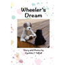 Wheeler's Dream