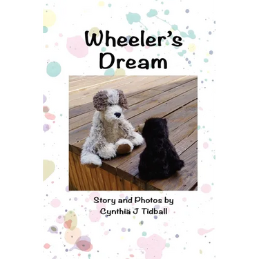 Wheeler's Dream