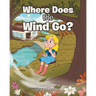Where Does the Wind Go?
