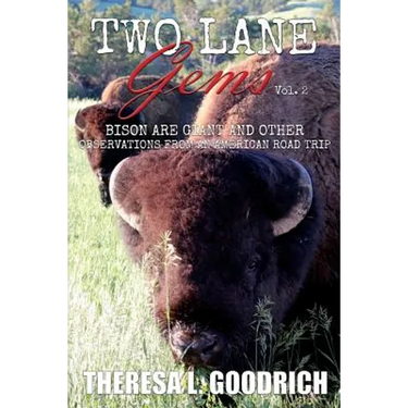Two Lane Gems, Vol. 2: Bison are Giant and Other Observations from an American Road Trip