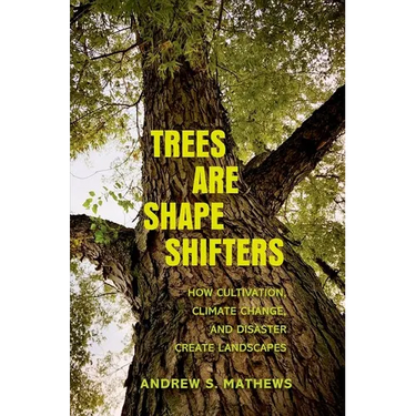 Trees Are Shape Shifters: How Cultivation, Climate Change, and Disaster Create Landscapes