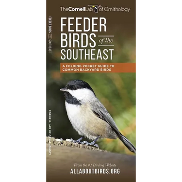 Feeder Birds of the Southeast: A Folding Pocket Guide to Common Backyard Birds
