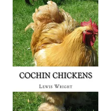 Cochin Chickens: From The Book of Poultry