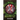 Release Day