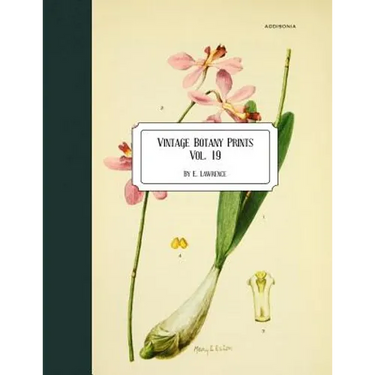 Vintage Botany Prints: Vol. 19