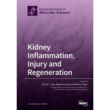 Kidney Inflammation, Injury and Regeneration