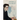 Powers of Judgment: Hannah Arendt's Moral and Legal Philosophy