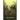 The Township