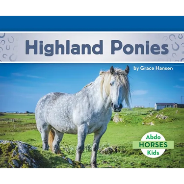 Highland Ponies
