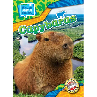 Capybaras