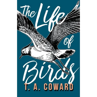 The Life of Birds