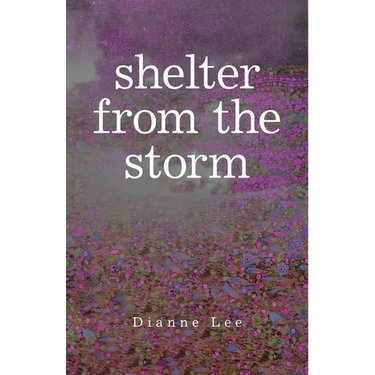 Shelter from the Storm