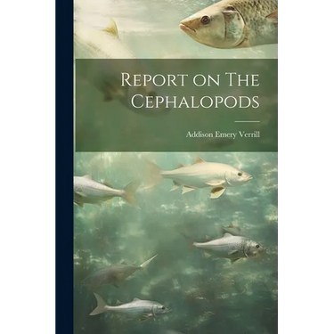 Report on The Cephalopods
