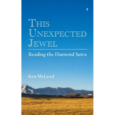 This Unexpected Jewel: Reading the Diamond Sutra