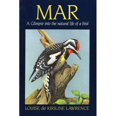 Mar: A Glimpse Into the Natural Life of a Bird