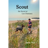 Scout: the Secret at Les Cheneaux