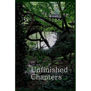 Unfinished Chapters