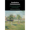 Qualitative Consciousness