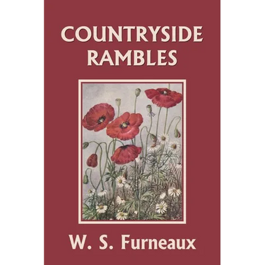Countryside Rambles (Yesterday's Classics)
