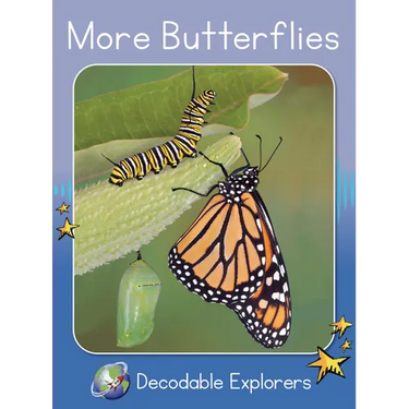 More Butterflies: Skills Set 8