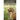 Golden Retriever: A Dog Training Guide on How to Raise, Train and Discipline Your Golden Retriever Puppy for Beginners