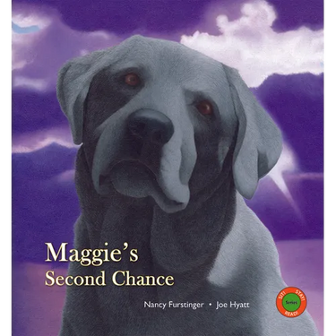 Maggie's Second Chance