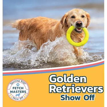 Golden Retrievers Show Off