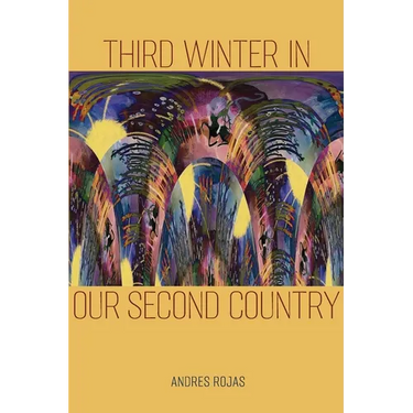 Third Winter in Our Second Country