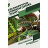 Chlorophytum comosum (Spider Plant): Open terrarium, Beginner's Guide
