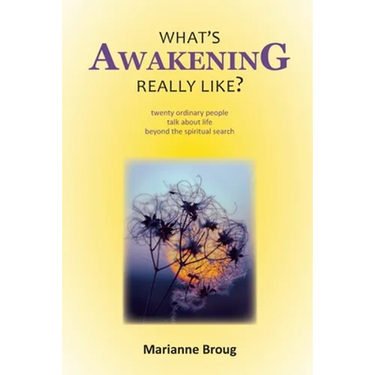 What's Awakening Really Like?: Twenty ordinary people talk about life beyond the spiritual search