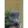 Faust the Dancing Cat Tackles Strippers, Scammers & Bears
