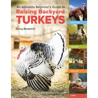 An Absolute Beginner's Guide to Raising Backyard Turkeys: Varieties, Feeding, Shelter, Care