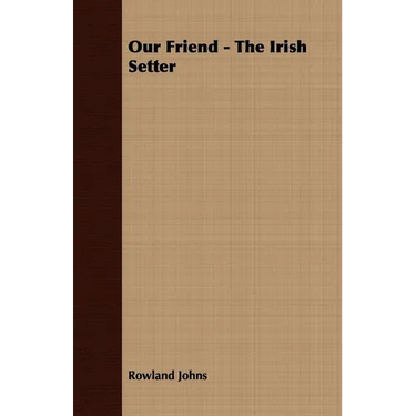 Our Friend - The Irish Setter