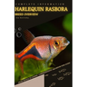 Harlequin Rasbora: From Novice to Expert. Comprehensive Aquarium Fish Guide